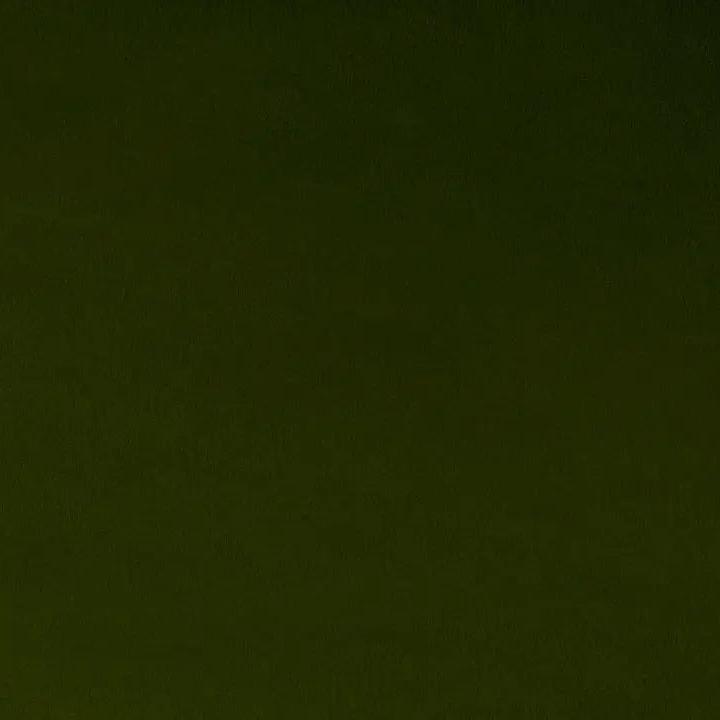 Green Loden Cuddle 3 Extra Wide Solid Fabric per yard - Linda's Electric Quilters