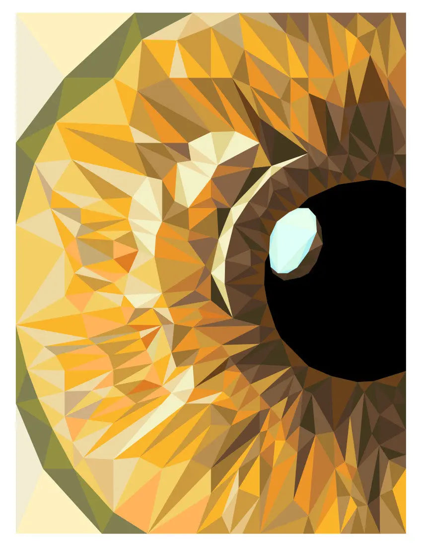 Hazel Iris Quilt Kit Legit Kits