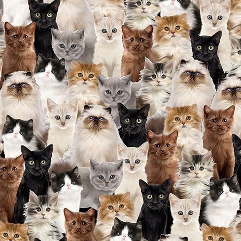 Beige Here Kitty Digital Cuddle 58/60" Fabric Per Yard