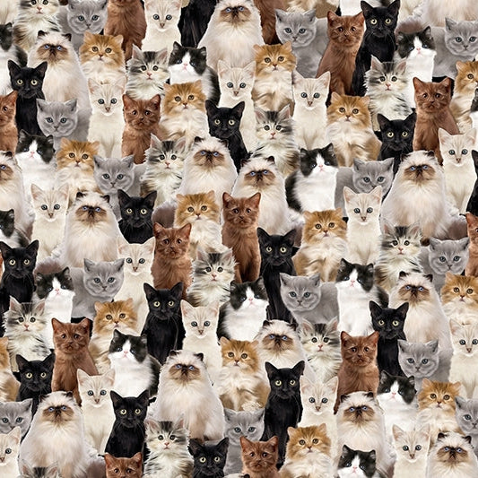 Beige Here Kitty Digital Cuddle 58/60" Fabric Per Yard