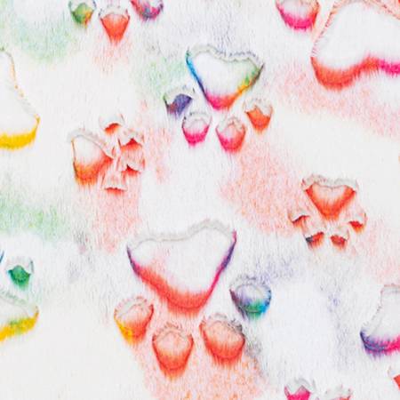 Shannon Fabrics Vibrant Luxe Cuddle Rainbow Paws minky fabric