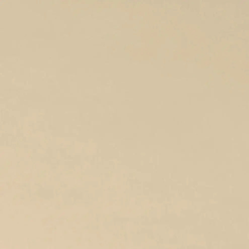 Latte Cuddle 3 Extra Wide Solid Minky Fabric Per Yard Shannon Fabrics