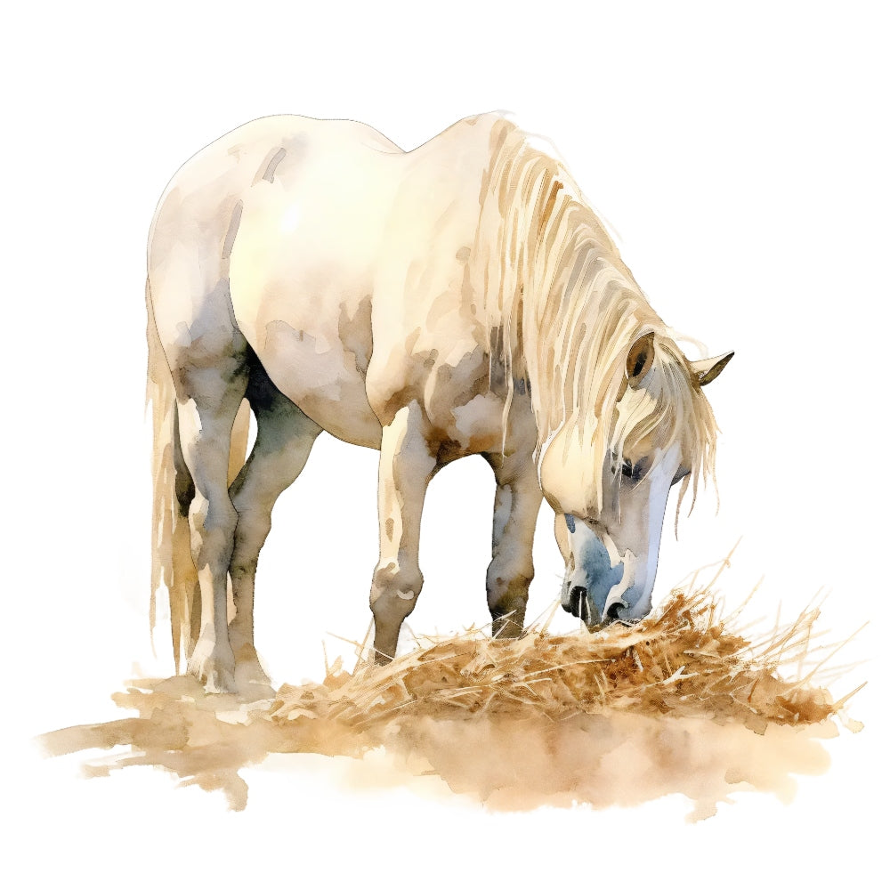 Majestic Horse Fabric Panel 12 QuiltingFabricPanels