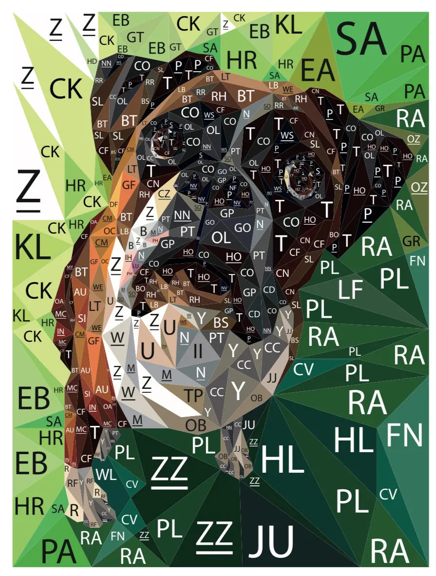 Margot the Boxer Quilt Kit Legit Kits