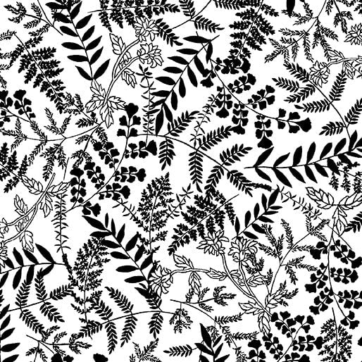 Midnight Rhapsody - Fern Garden - White/Black 44" / 45" Fabric per yard