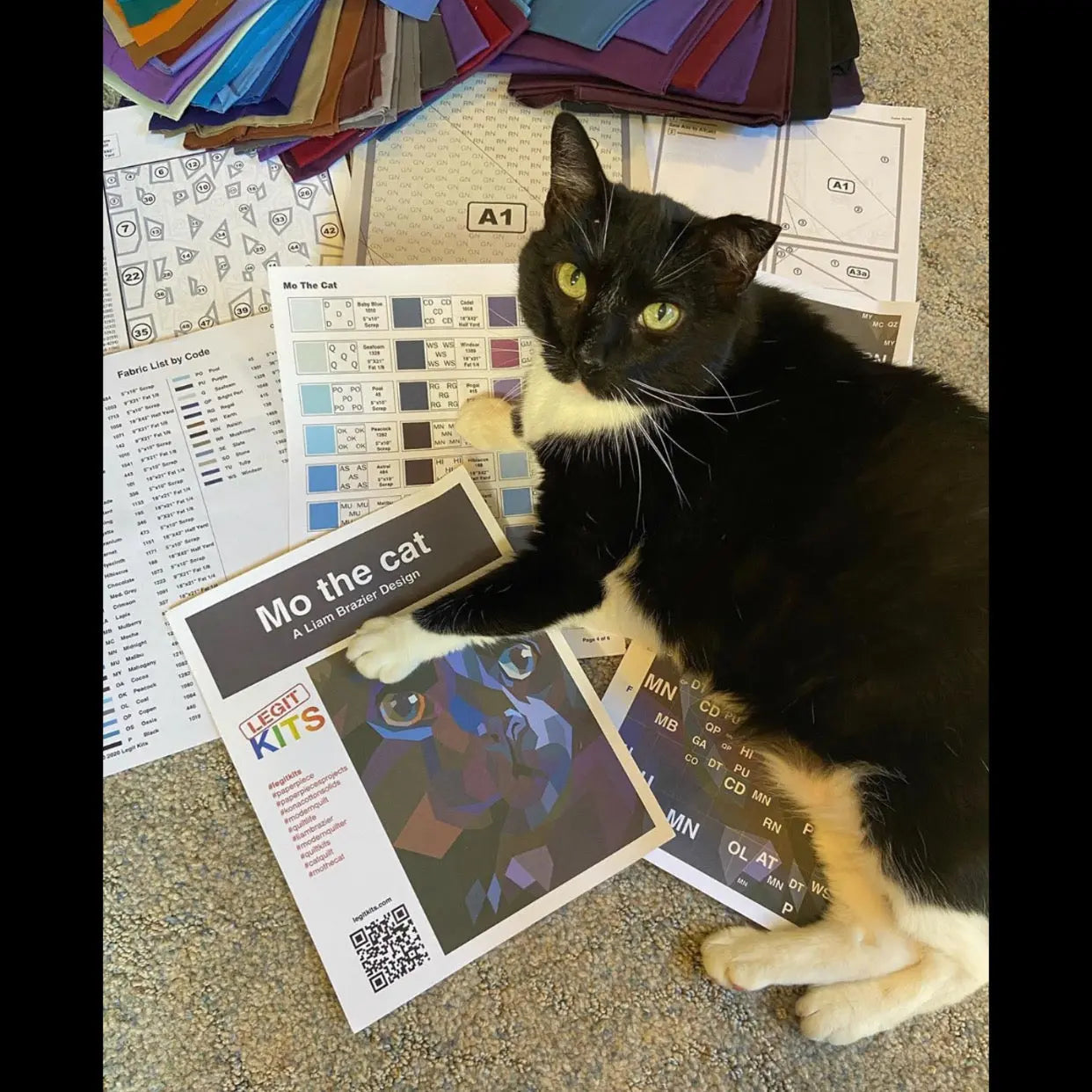 Mo the Cat Pattern Legit Kits