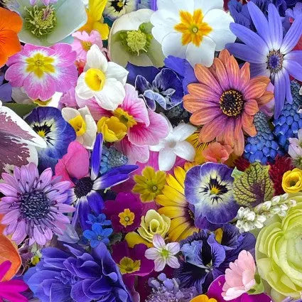 Multi Floral Kaleidoscope Cotton Wideback Fabric per yard - Linda's Electric Quilters