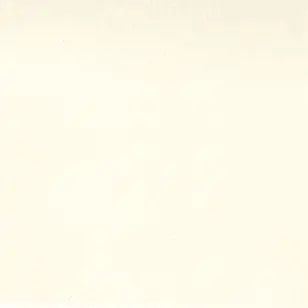 Natural Muslin Cotton 200 Count Wideback Fabric Per Yard 110" Moda Fabrics & Supplies