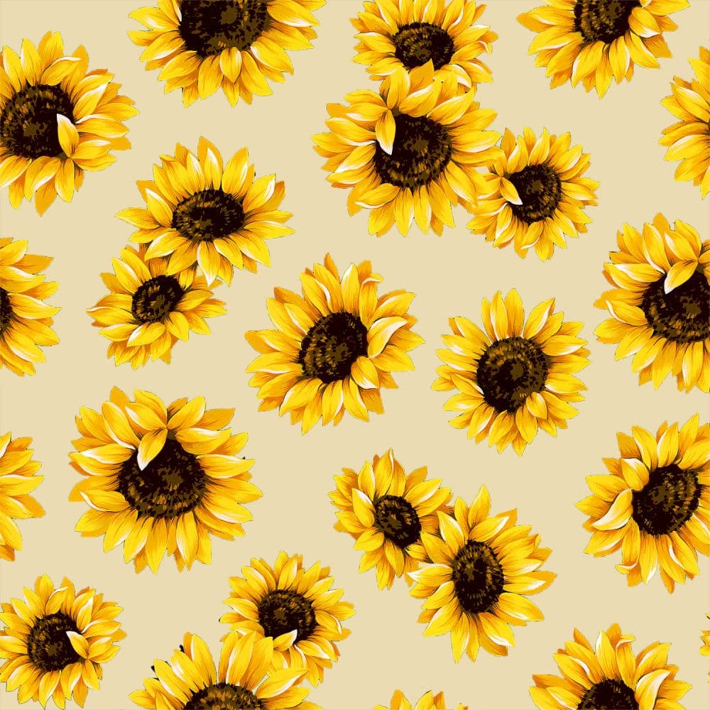 Natural Sunflower Dance 45" wide Fabric per yard