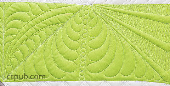 Next Steps in Machine Quilting - Free-Motion & Walking Foot Designs