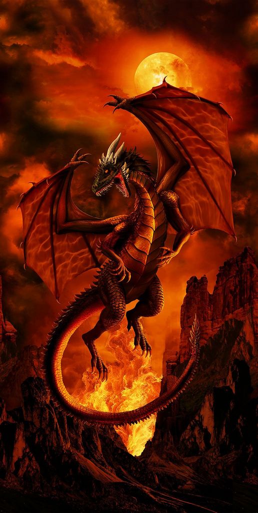 Fire Dragon Fire Panel 24" x 44"/45" Cotton Fabric
