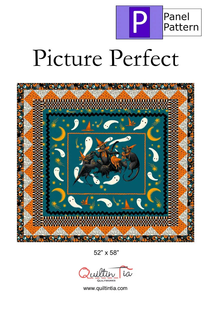 Picture Perfect Panel Quilt Pattern - Linda's Electric Quilters