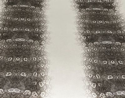 Faux Floral Lizard- White/Black 18 in x 54 in