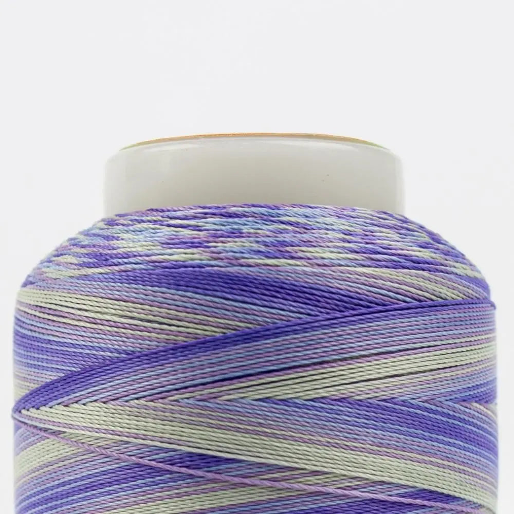 SCM12 - Silco™ 35wt Cotton Violets Blues Thread WonderFil USA