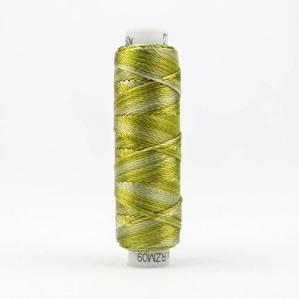 SSRZM09 - Razzle™ 8wt Rayon Marsh Grass Thread WonderFil USA