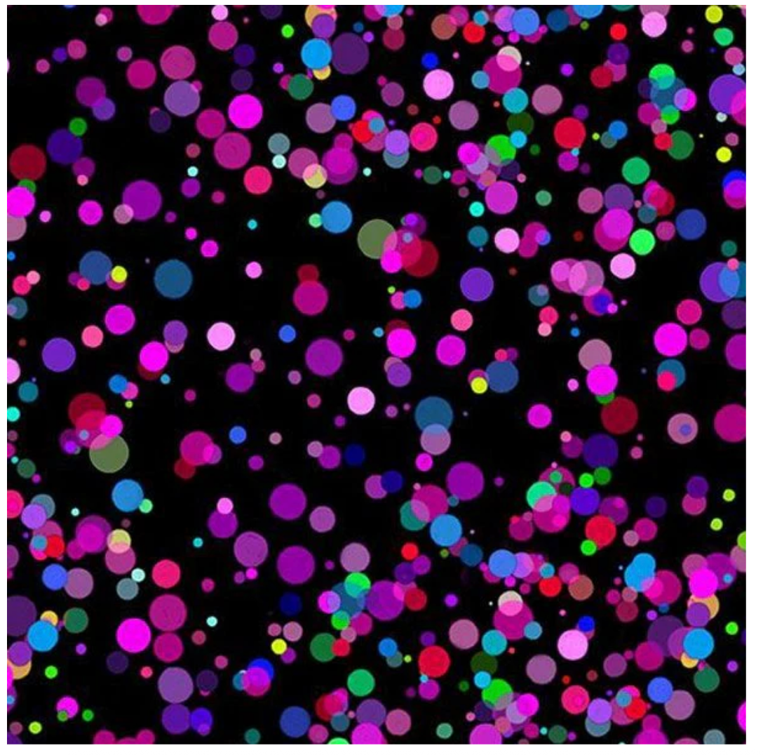Electric Black Electric Dots Cotton 44"/45" Fabric Per Yard