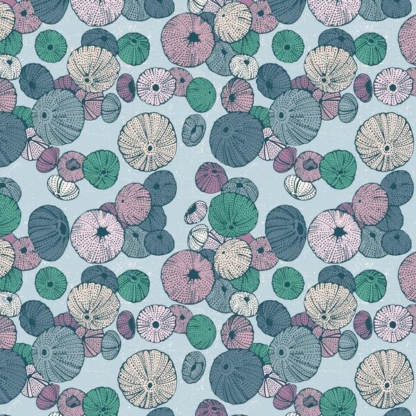 Seashell Serenade Sea Urchin organic cotton quilting fabric in light blue by Jayme Murray for Cloud9 Fabrics, sea urchin print, sold by the yard