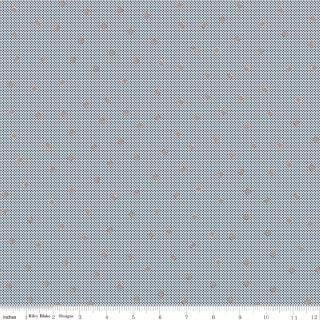 Riley Blake Serenity Blues denim gemstones 108 inch 3 yard wideback package