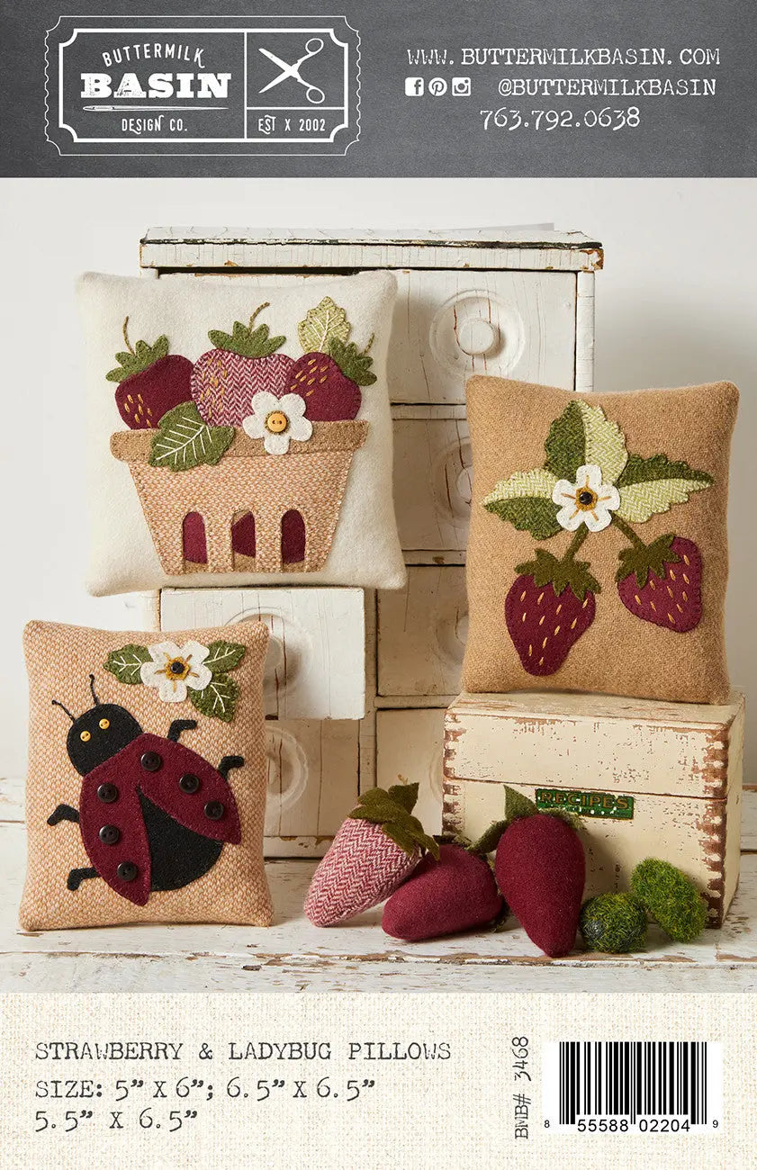 Strawberry & Ladybug Pillows - Linda's Electric Quilters