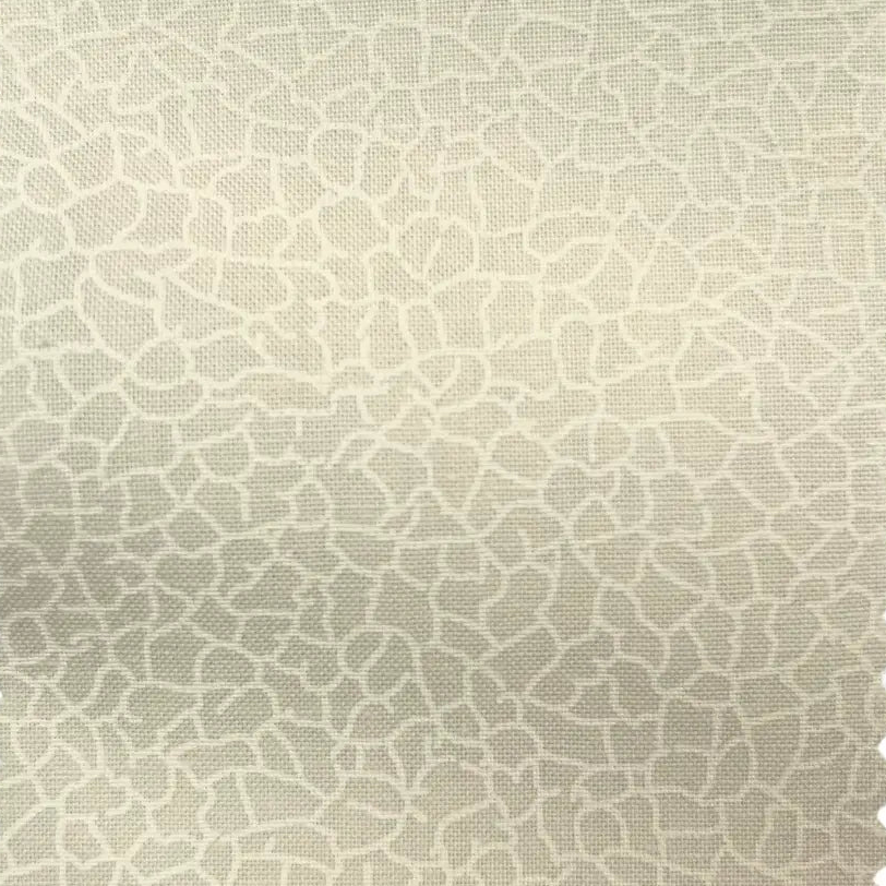 Supreme Tones - White on Cream - Crackle