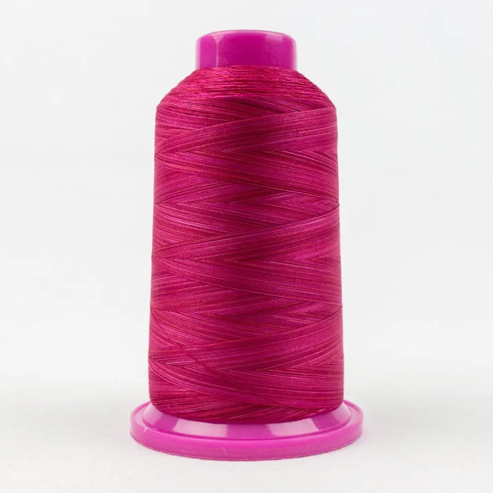 TU10 - Tutti™ 50wt Egyptian Cotton Roses Thread WonderFil USA