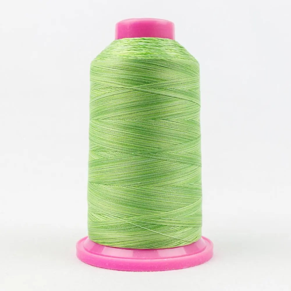 TU28 - Tutti™ 50wt Egyptian Cotton Lime Thread WonderFil USA