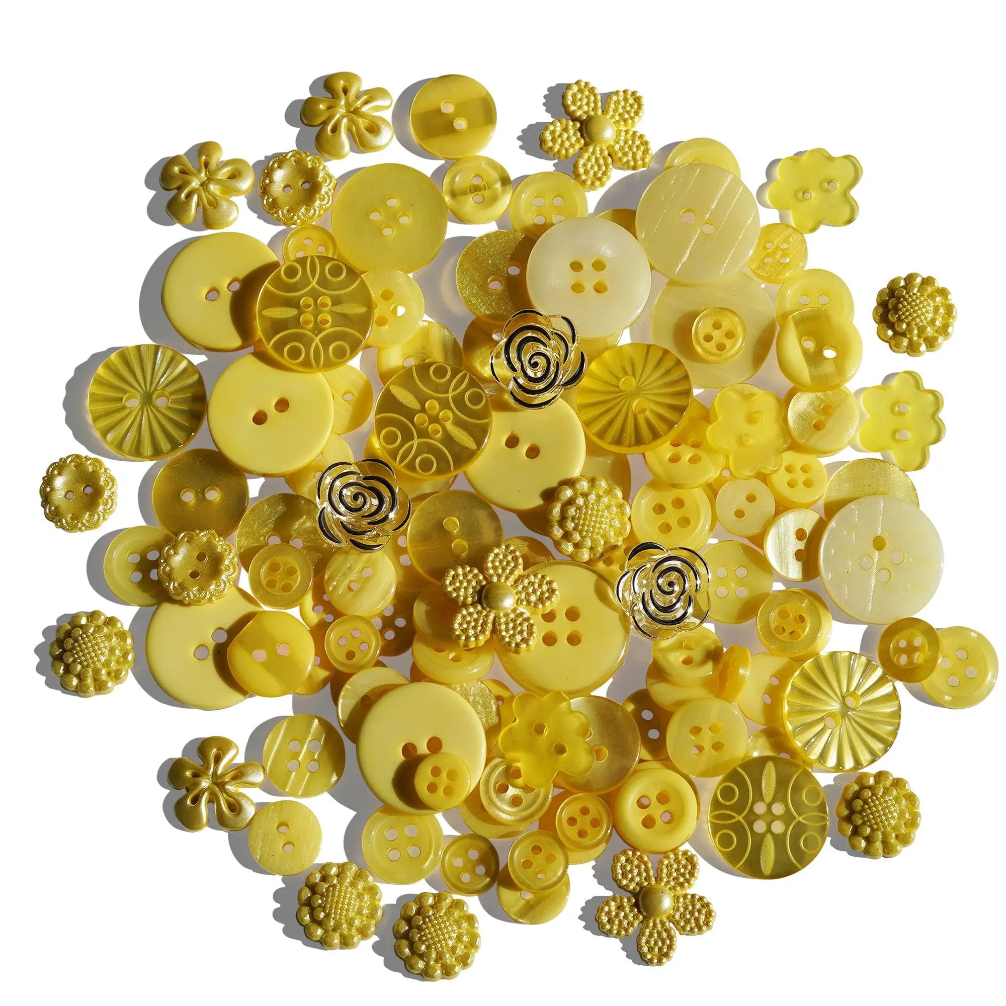 Treasure Box - Citrus Splash Checker Distributor