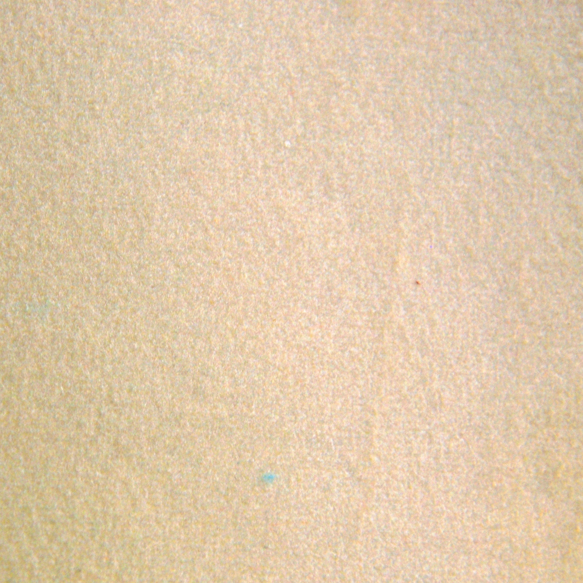 "Tresor" Soft Velvet Fabric