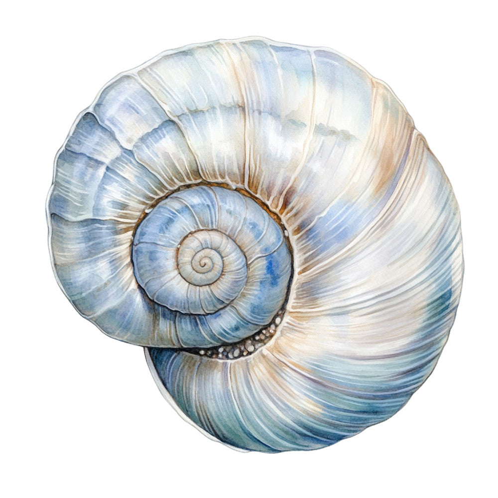 Watercolor Sea Shells Fabric Panel 12 QuiltingFabricPanels