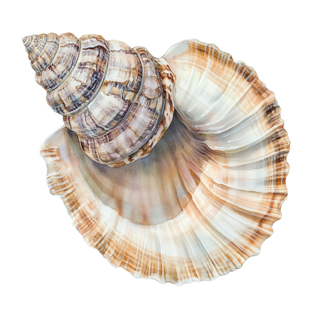 Watercolor Sea Shells Fabric Panel 18