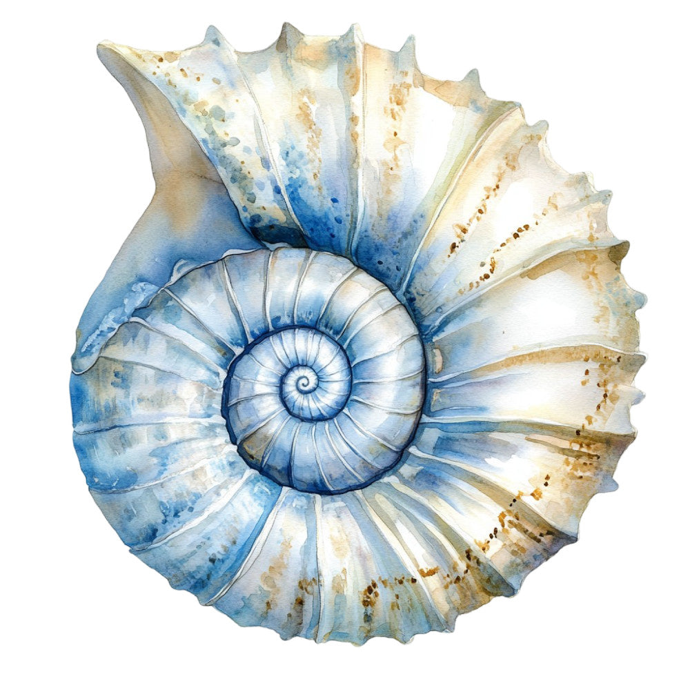 Watercolor Sea Shells Fabric Panel 19