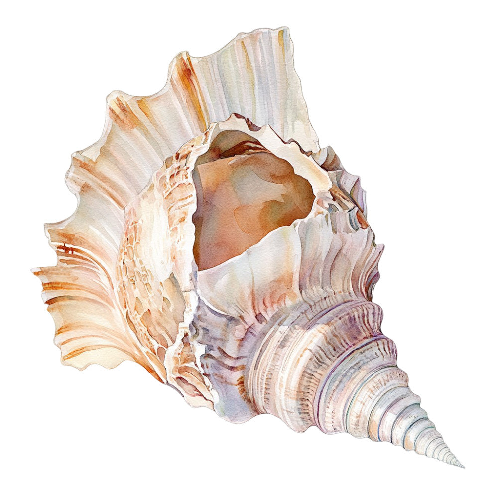 Watercolor Sea Shells Fabric Panel 8