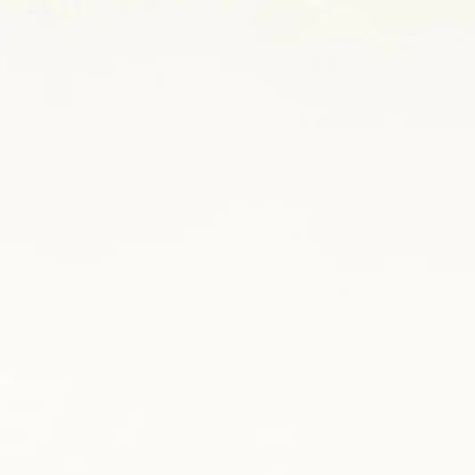 White Cuddle 3 Extra Wide Solid Fabric per yard - Linda's Electric Quilters