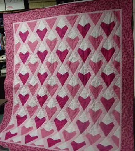X-Block Heart & Soul Pattern Cactus Queen Quilt Company