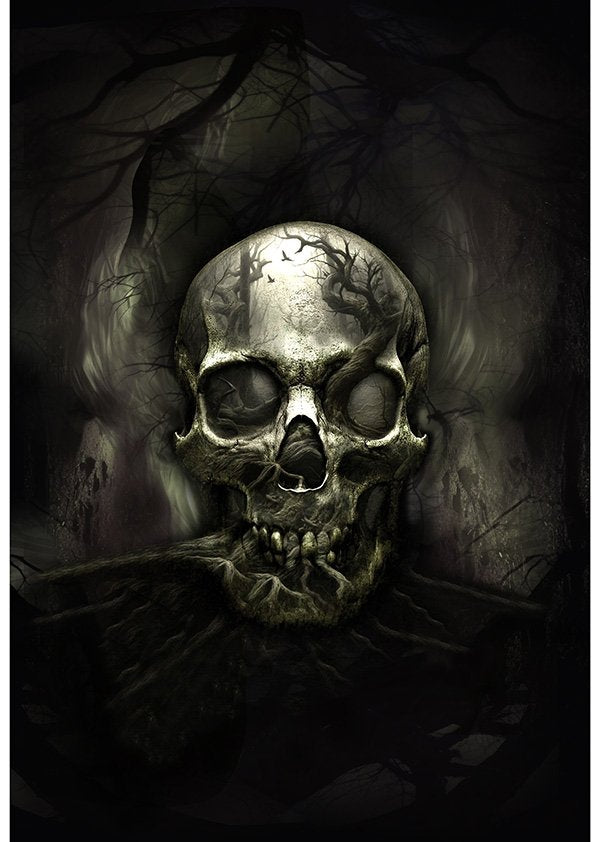 Boneheads Skull Panel Raven
