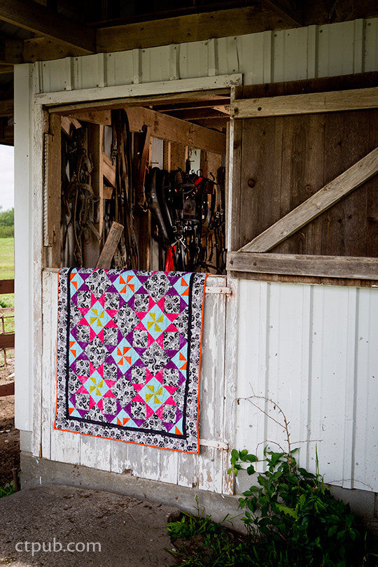 Amish-Inspired Quilts for Today's Home
