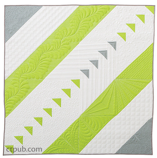 Next Steps in Machine Quilting - Free-Motion & Walking Foot Designs