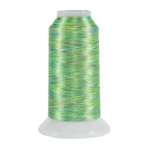 5156 Springtime Fantastico Variegated Polyester Thread - Linda's Electric Quilters