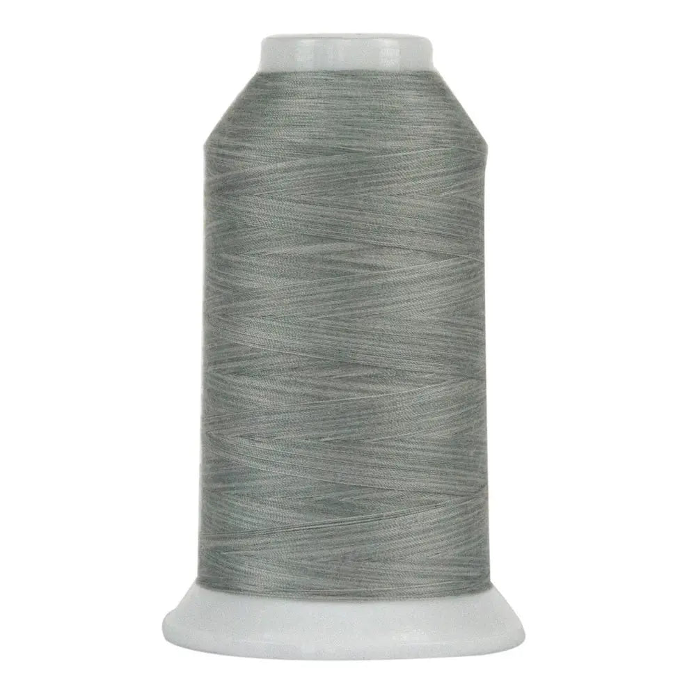 9023 Silver Reef Omni Variegated Polyester Thread - Linda's Electric Quilters