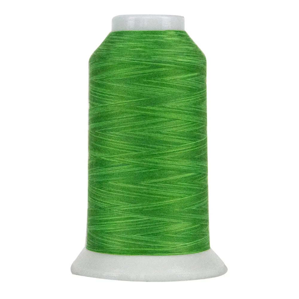 9029 Fresh Green Omni Variegated Polyester Thread - Linda's Electric Quilters