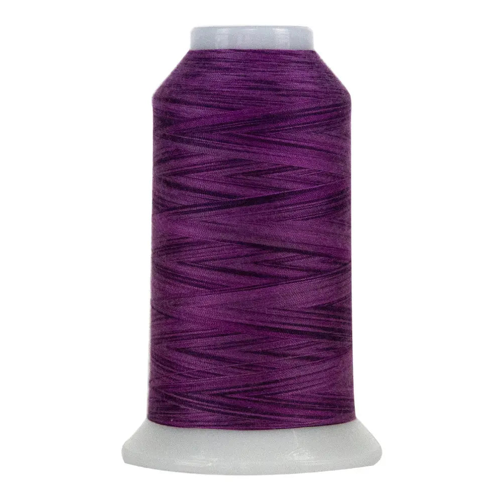 9039 Rhododendron Omni Variegated Polyester Thread - Linda's Electric Quilters