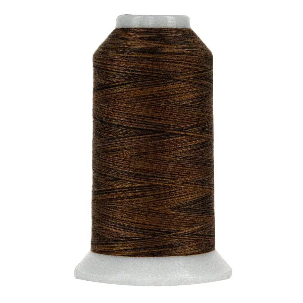 9056 Rugged Ravine Omni Variegated Polyester Thread - Linda's Electric Quilters
