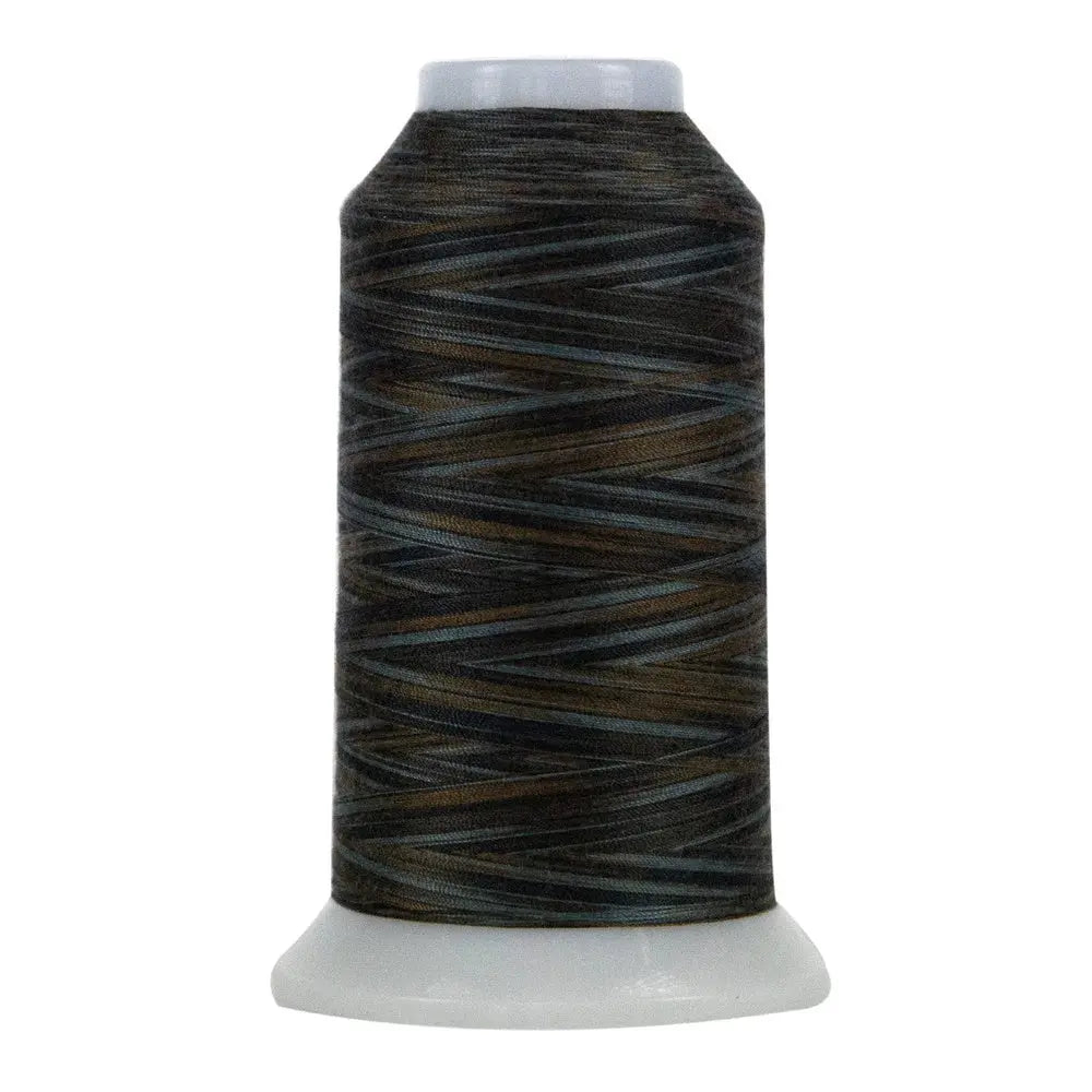 9058 Mt. Timpanogos Omni Variegated Polyester Thread - Linda's Electric Quilters
