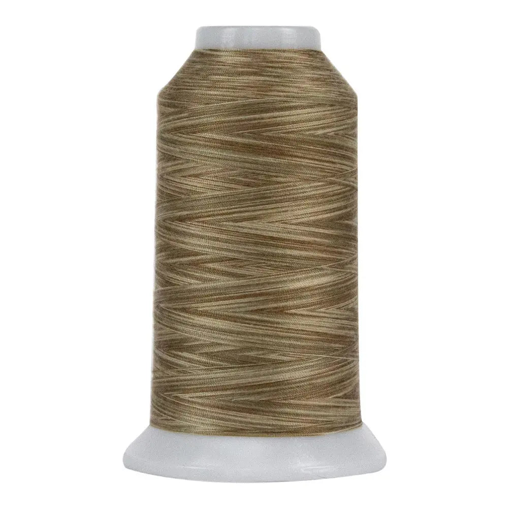 9062 Pebble Beach Omni Variegated Polyester Thread - Linda's Electric Quilters