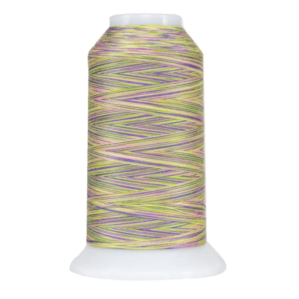 9067 Victoria Omni Variegated Polyester Thread - Linda's Electric Quilters