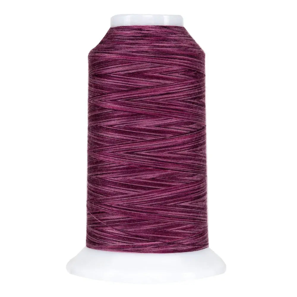 9072 Bumbleberry Omni Variegated Polyester Thread - Linda's Electric Quilters