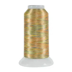 5089 Mesa Fantastico Variegated Polyester Thread - Linda's Electric Quilters