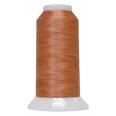 5112 Creamsicle Fantastico Variegated Polyester Thread - Linda's Electric Quilters