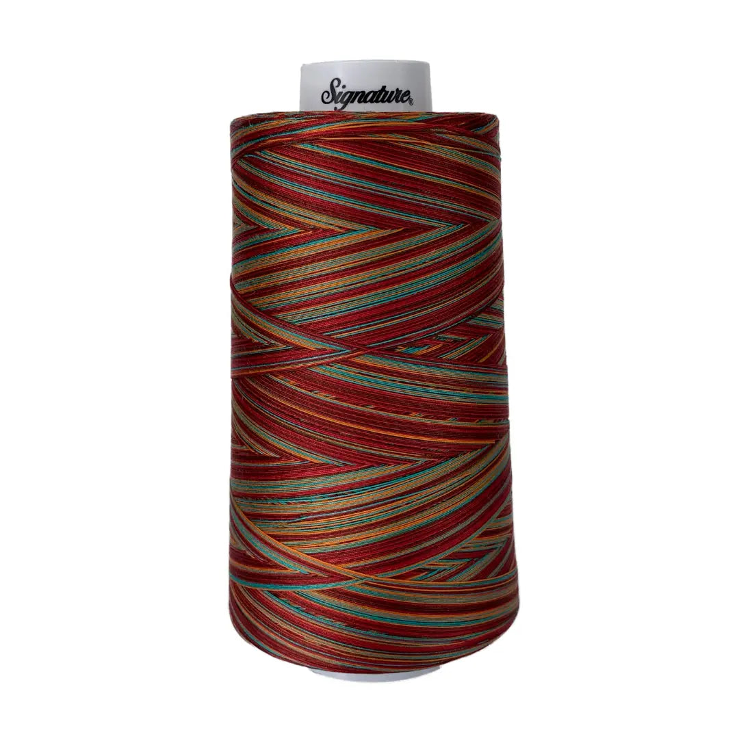 F256 Southwest Signature Cotton Variegated Thread - Linda's Electric Quilters