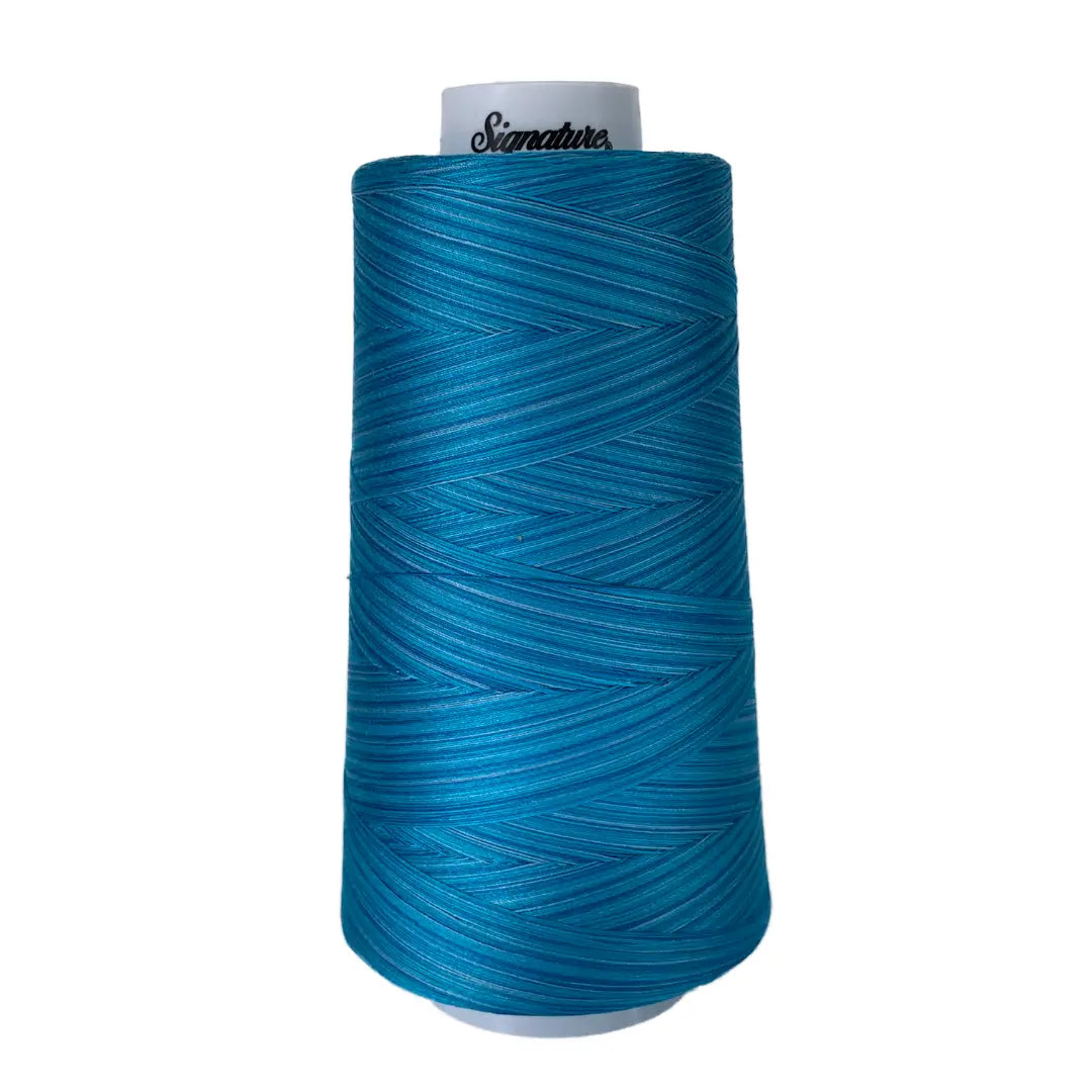 F258 Dreamy Blues Signature Cotton Variegated Thread - Linda's Electric Quilters